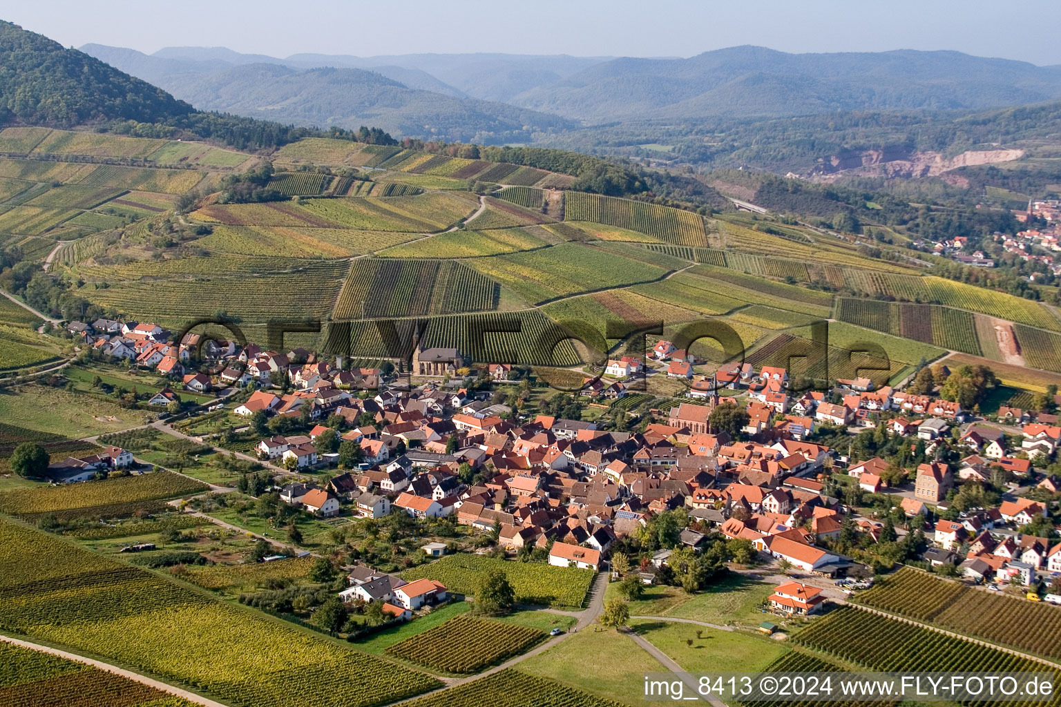 Image drone de Birkweiler dans le département Rhénanie-Palatinat, Allemagne