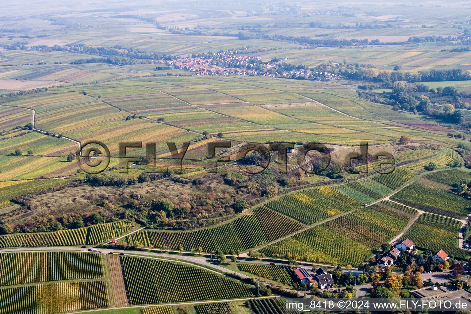 Petit kalmit à Ilbesheim bei Landau in der Pfalz dans le département Rhénanie-Palatinat, Allemagne hors des airs