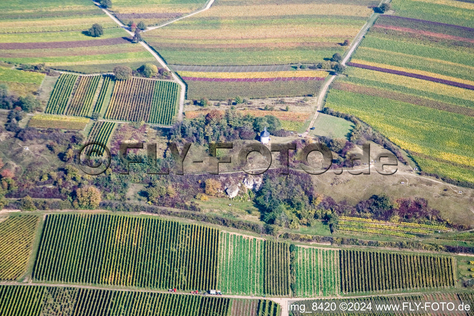 Petit kalmit à Ilbesheim bei Landau in der Pfalz dans le département Rhénanie-Palatinat, Allemagne vue d'en haut