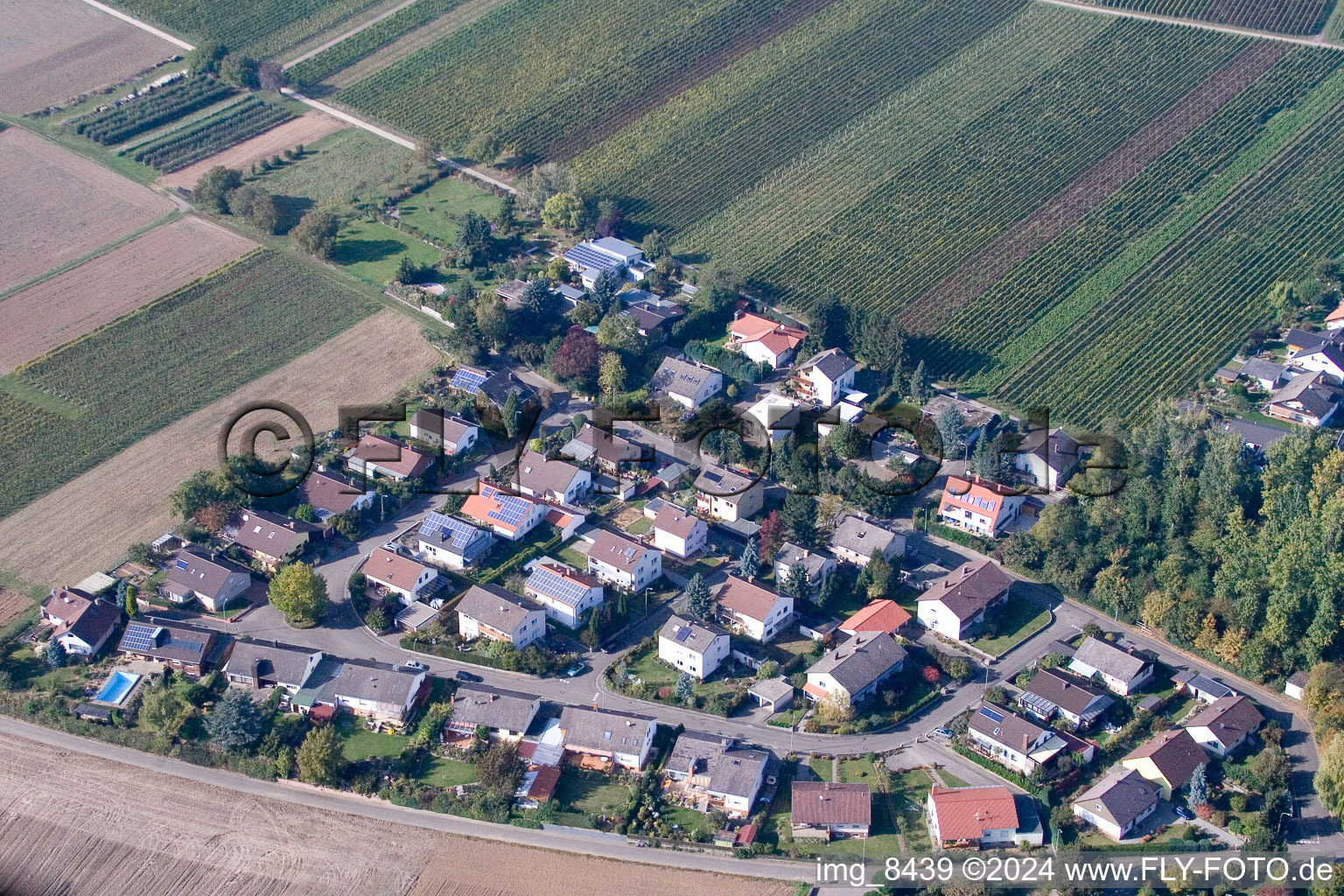 Image drone de Quartier Mörzheim in Landau in der Pfalz dans le département Rhénanie-Palatinat, Allemagne