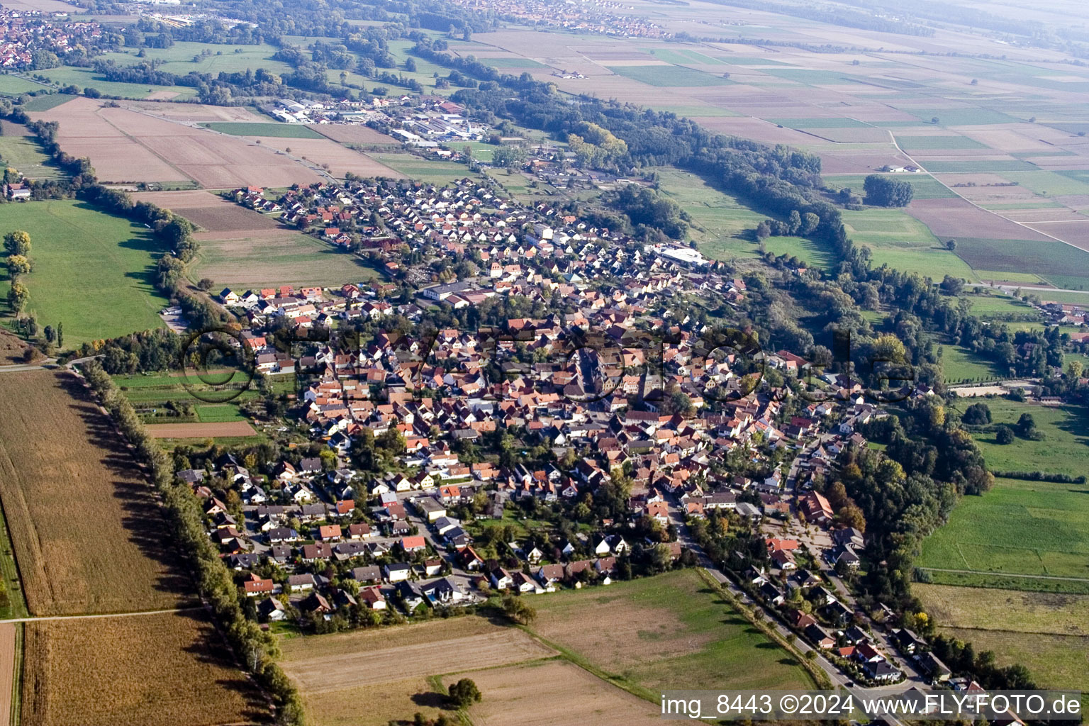 Quartier Billigheim in Billigheim-Ingenheim dans le département Rhénanie-Palatinat, Allemagne vue du ciel