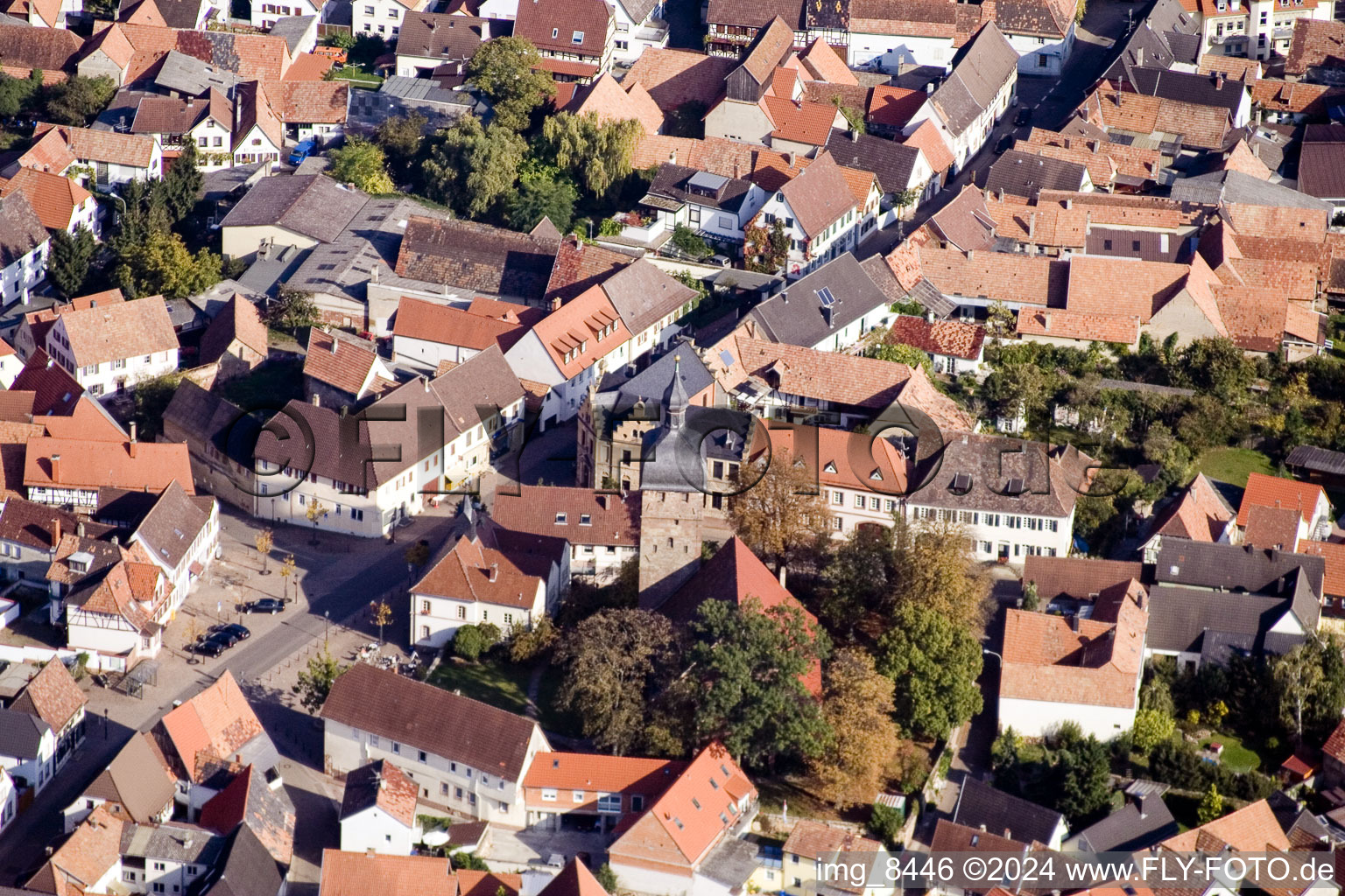 Image drone de Quartier Billigheim in Billigheim-Ingenheim dans le département Rhénanie-Palatinat, Allemagne