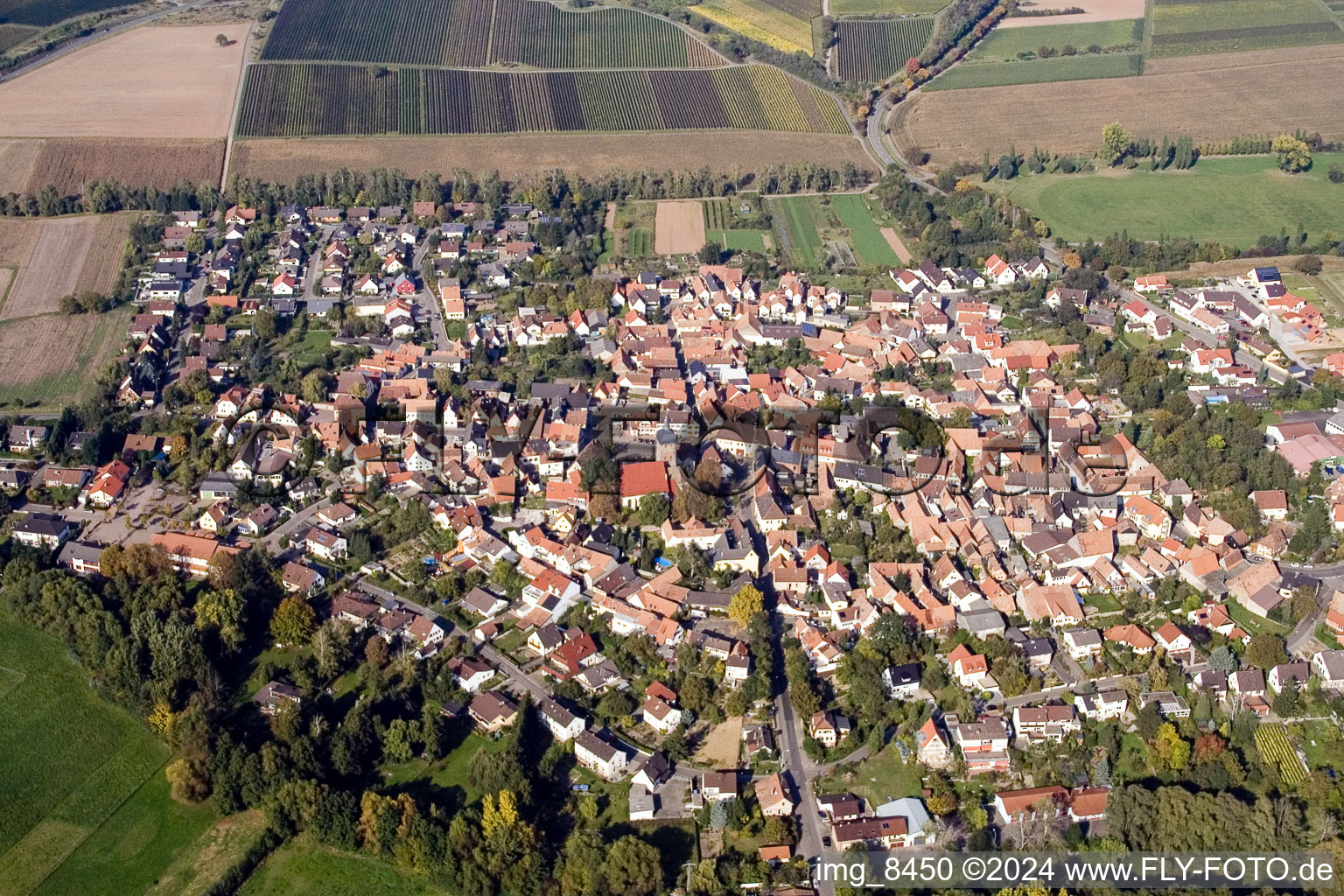 Quartier Billigheim in Billigheim-Ingenheim dans le département Rhénanie-Palatinat, Allemagne du point de vue du drone