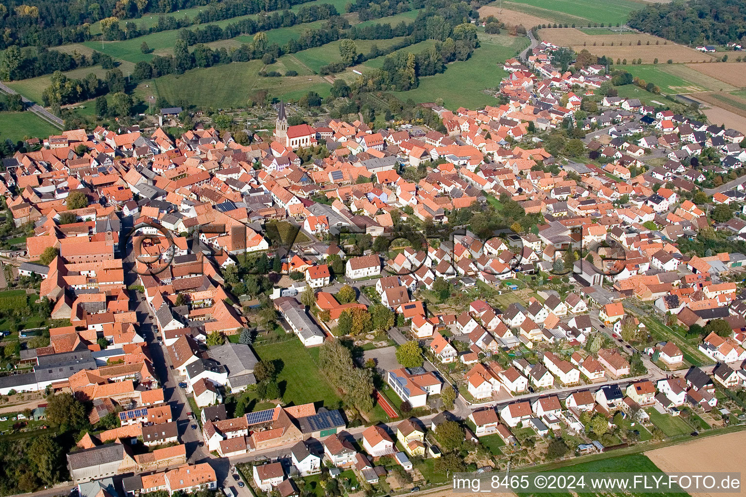 Photographie aérienne de Champs agricoles et surfaces utilisables à Steinweiler dans le département Rhénanie-Palatinat, Allemagne