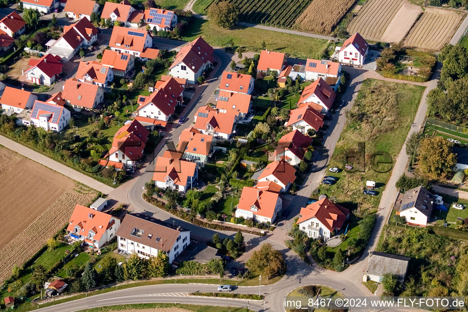 Vue oblique de Steinweiler dans le département Rhénanie-Palatinat, Allemagne