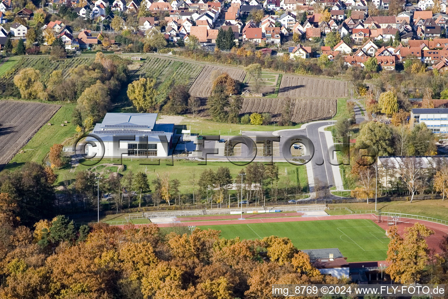 Bienwaldhalle à Kandel dans le département Rhénanie-Palatinat, Allemagne depuis l'avion