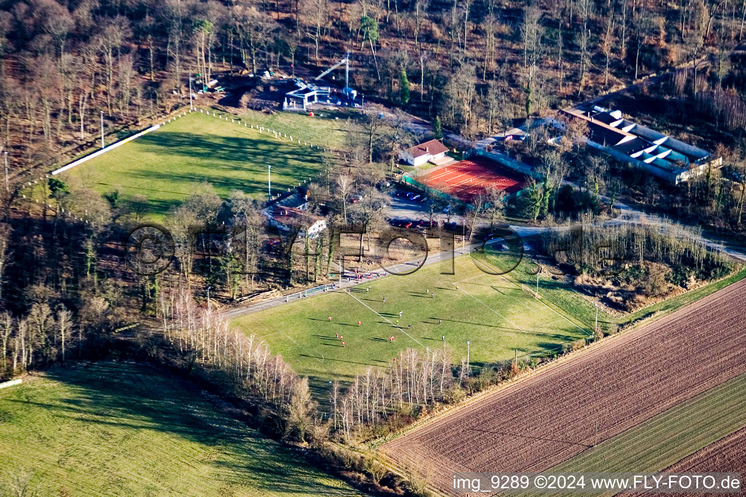 Terrains de sport à Steinweiler dans le département Rhénanie-Palatinat, Allemagne d'en haut