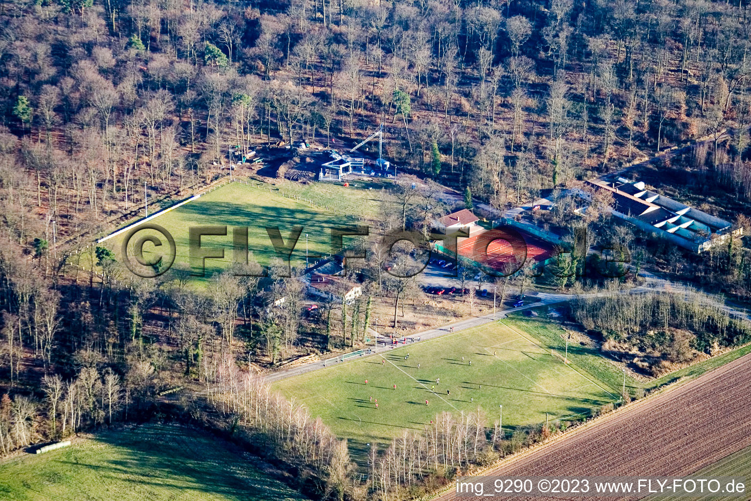 Terrains de sport à Steinweiler dans le département Rhénanie-Palatinat, Allemagne hors des airs