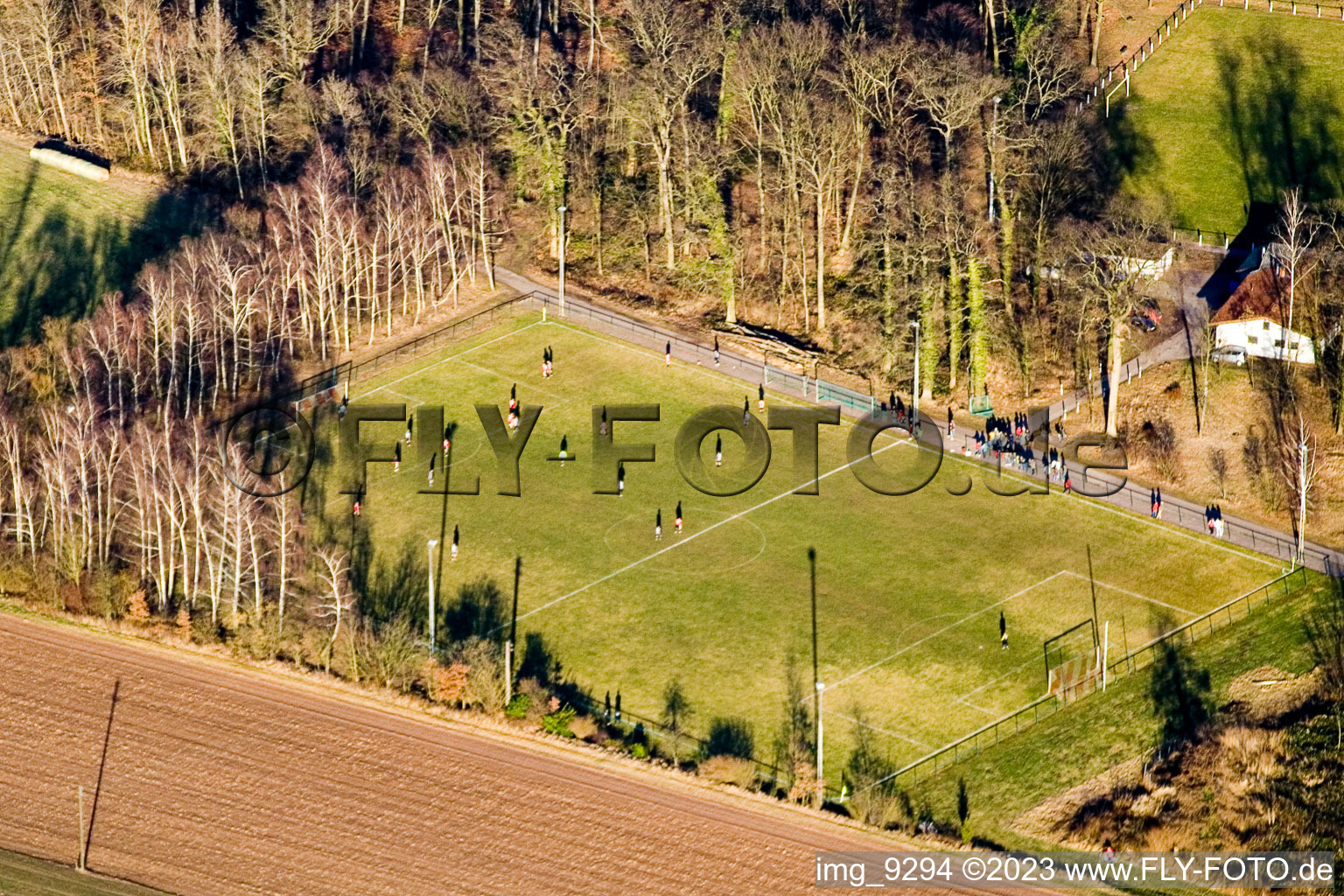 Terrains de sport à Steinweiler dans le département Rhénanie-Palatinat, Allemagne vue d'en haut