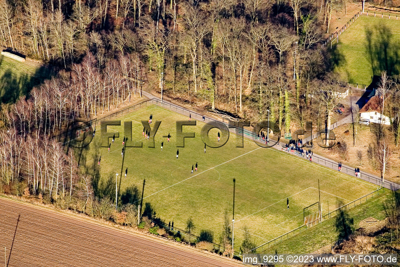 Terrains de sport à Steinweiler dans le département Rhénanie-Palatinat, Allemagne depuis l'avion