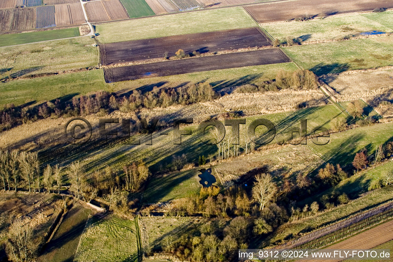 Photographie aérienne de Biotope dans le N à Winden dans le département Rhénanie-Palatinat, Allemagne