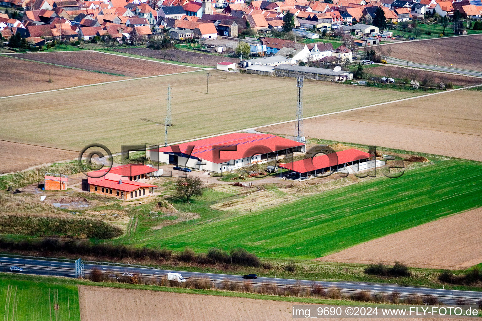 Ferme d'œufs de ferme de poulets à Erlenbach bei Kandel dans le département Rhénanie-Palatinat, Allemagne vue du ciel