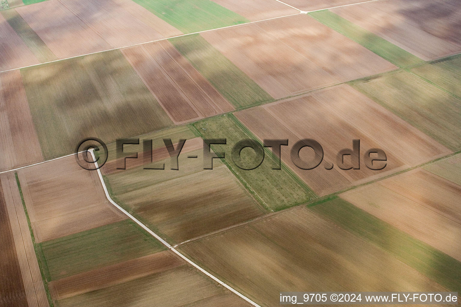Vue aérienne de NixWieNuff à Offenbach an der Queich dans le département Rhénanie-Palatinat, Allemagne