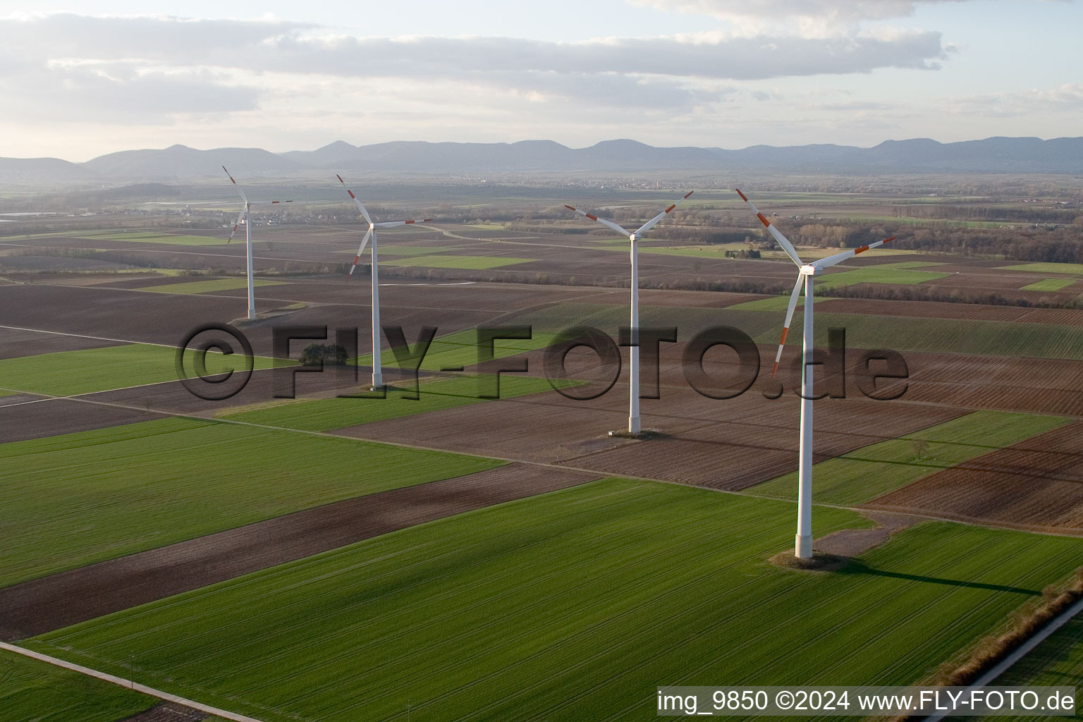 Vue aérienne de Éoliennes (WEA) - éoliennes - dans un champ à Minfeld dans le département Rhénanie-Palatinat, Allemagne