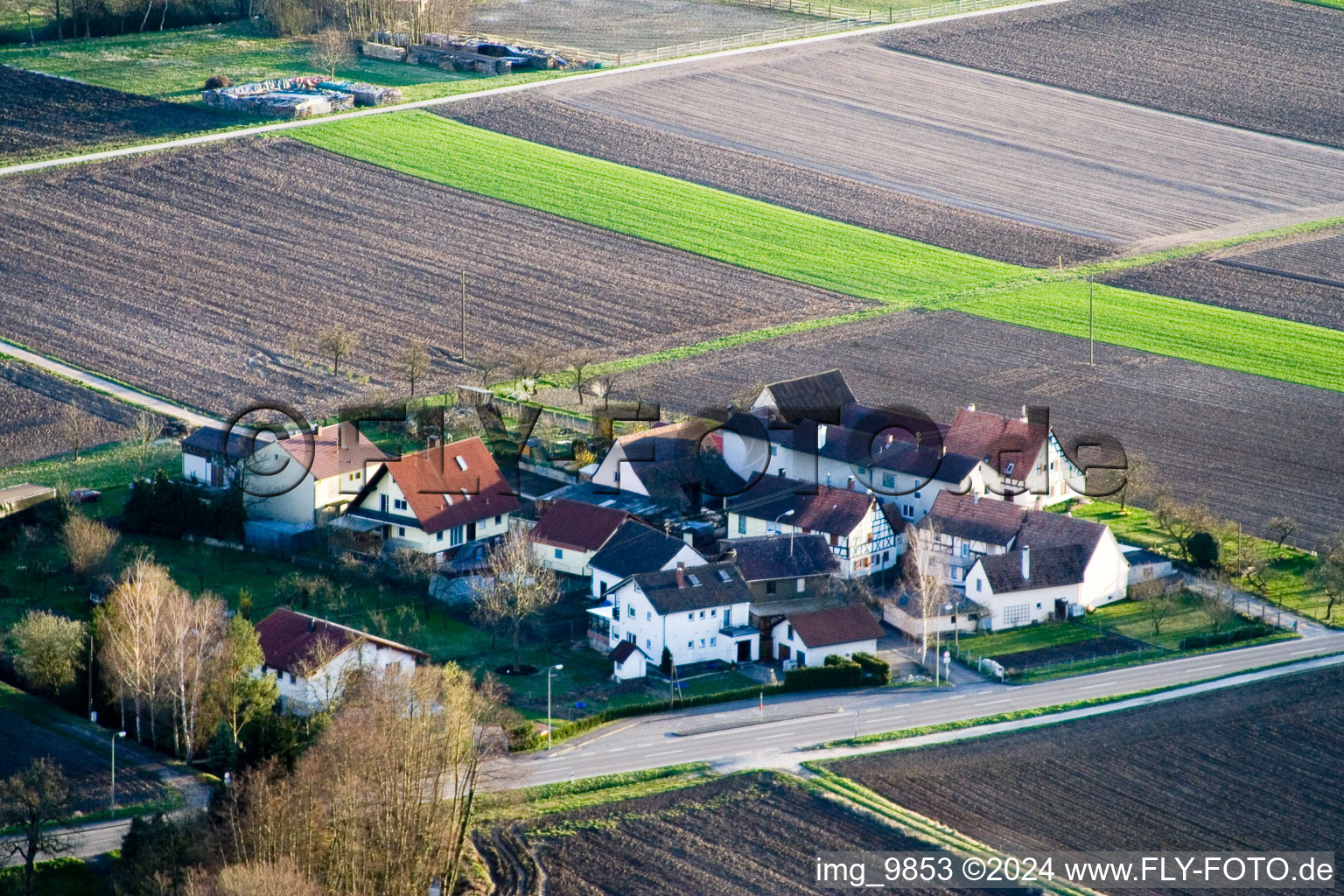 Welschhof à Minfeld dans le département Rhénanie-Palatinat, Allemagne vue d'en haut