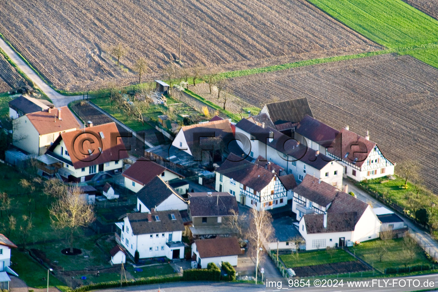 Welschhof à Minfeld dans le département Rhénanie-Palatinat, Allemagne depuis l'avion