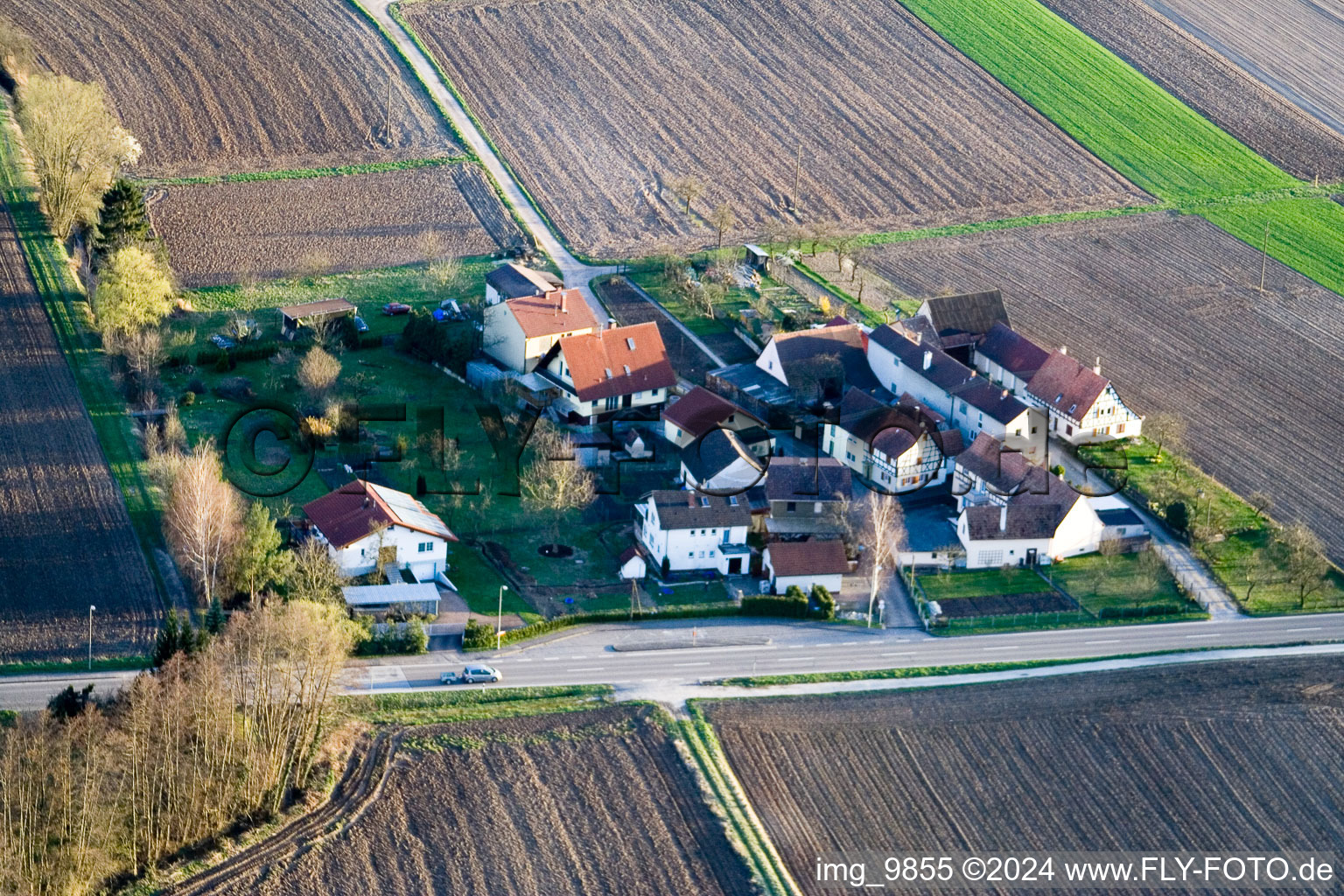 Vue d'oiseau de Welschhof à Minfeld dans le département Rhénanie-Palatinat, Allemagne