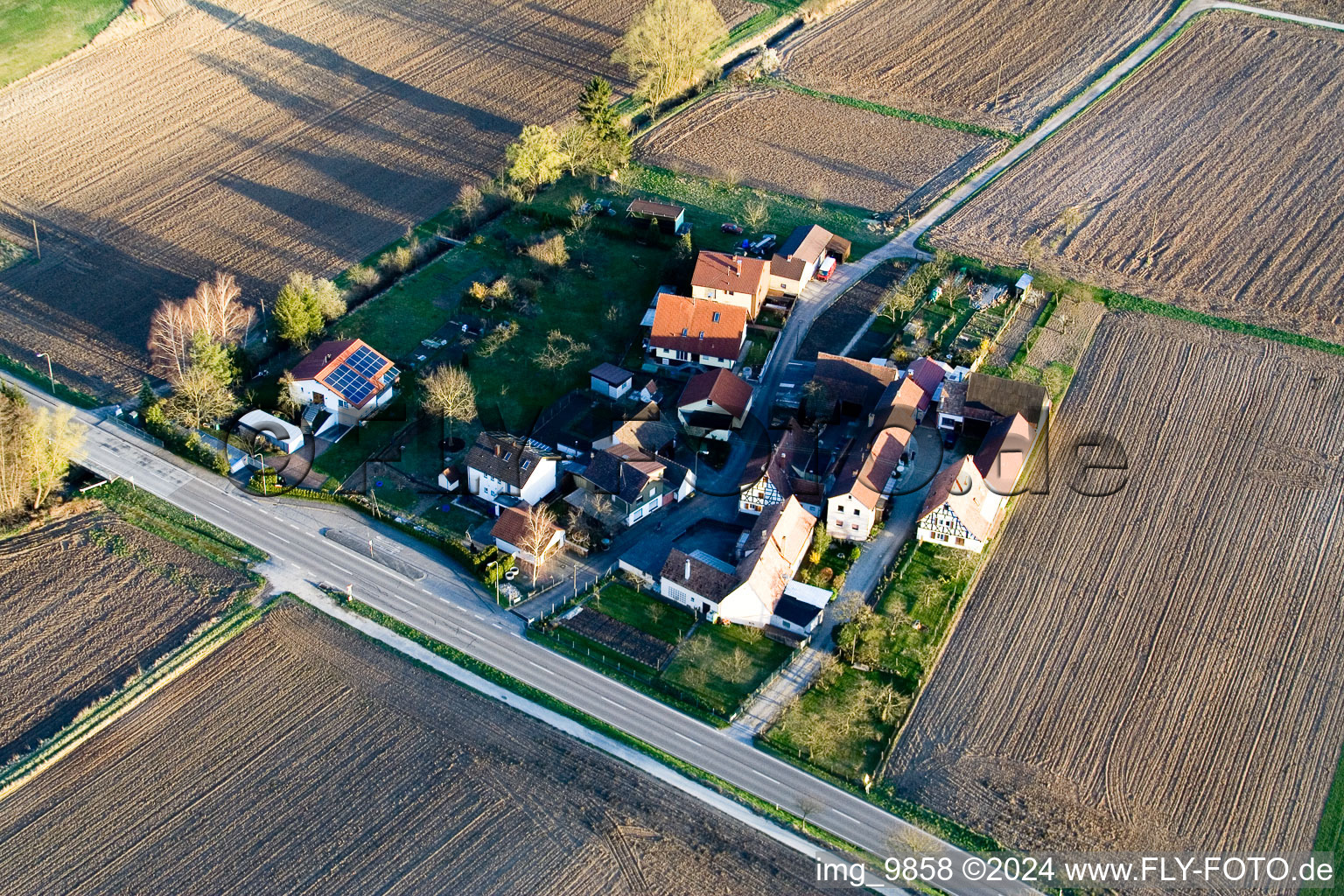 Image drone de Welschhof à Minfeld dans le département Rhénanie-Palatinat, Allemagne