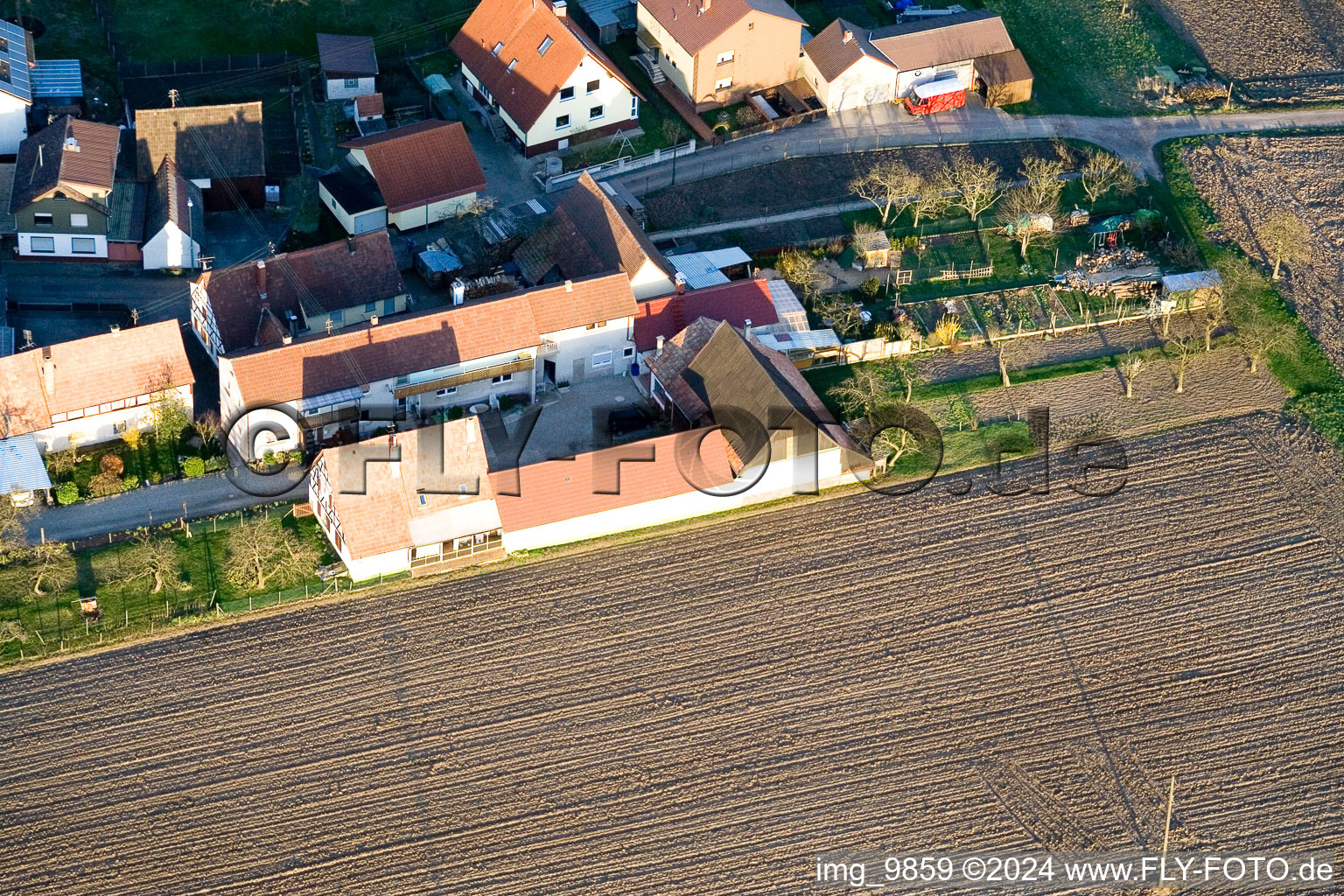 Welschhof à Minfeld dans le département Rhénanie-Palatinat, Allemagne du point de vue du drone