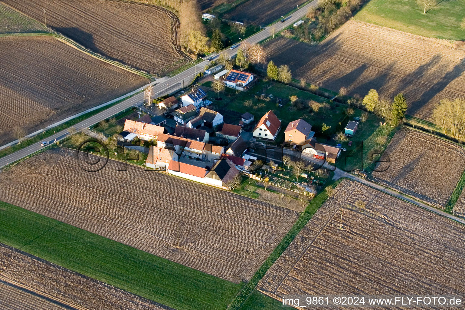 Welschhof à Minfeld dans le département Rhénanie-Palatinat, Allemagne vu d'un drone