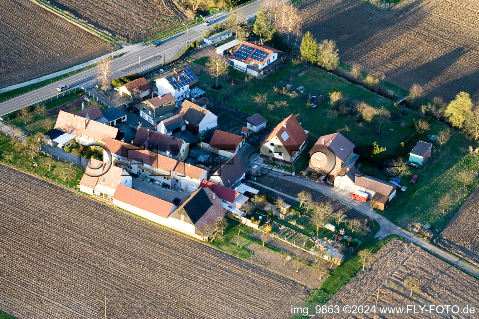 Vue aérienne de Welschhof à Minfeld dans le département Rhénanie-Palatinat, Allemagne