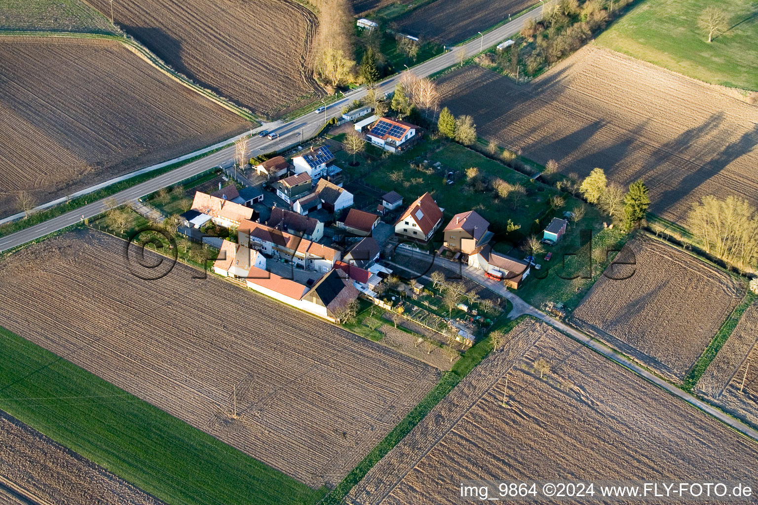 Photographie aérienne de Welschhof à Minfeld dans le département Rhénanie-Palatinat, Allemagne