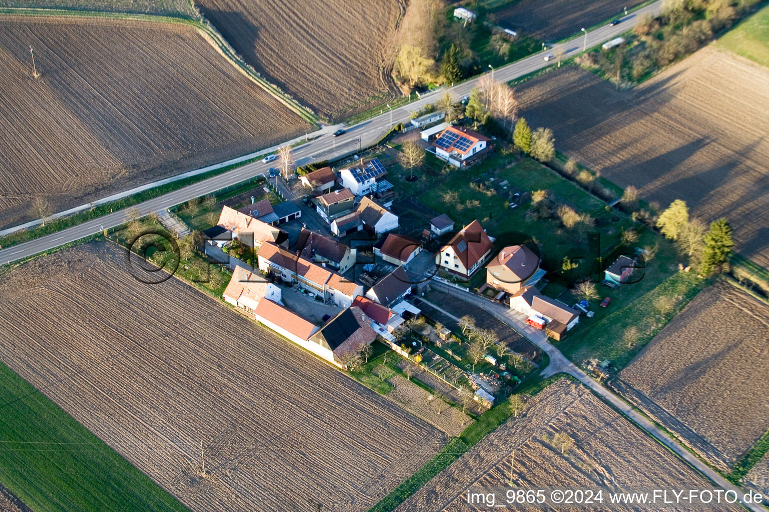 Vue oblique de Welschhof à Minfeld dans le département Rhénanie-Palatinat, Allemagne