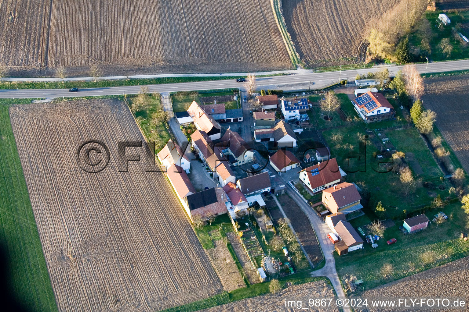 Welschhof à Minfeld dans le département Rhénanie-Palatinat, Allemagne d'en haut