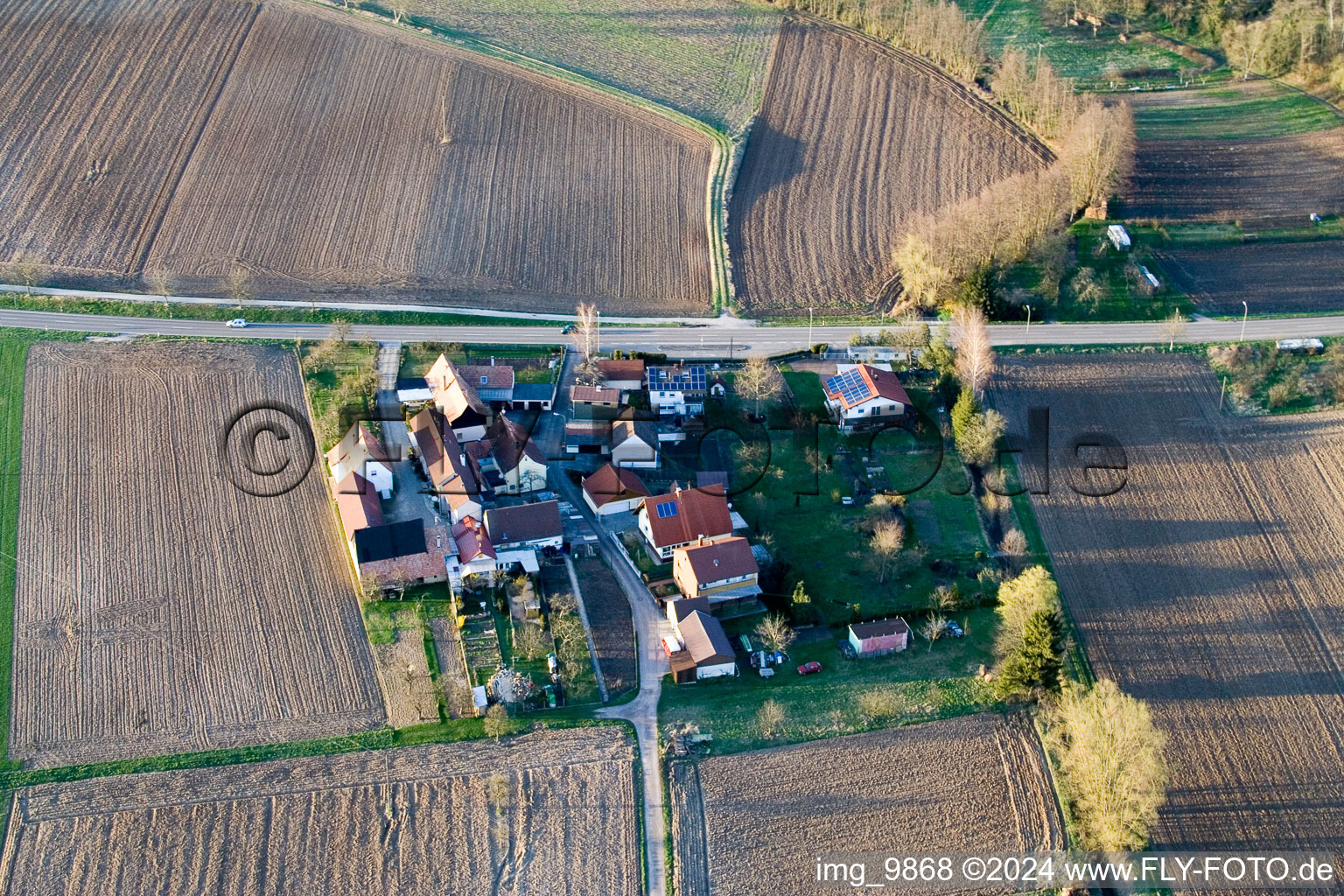 Welschhof à Minfeld dans le département Rhénanie-Palatinat, Allemagne hors des airs