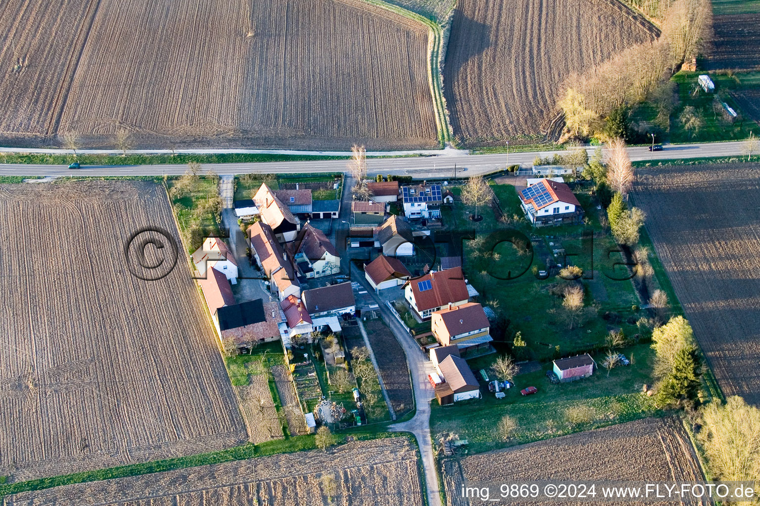 Welschhof à Minfeld dans le département Rhénanie-Palatinat, Allemagne vue d'en haut