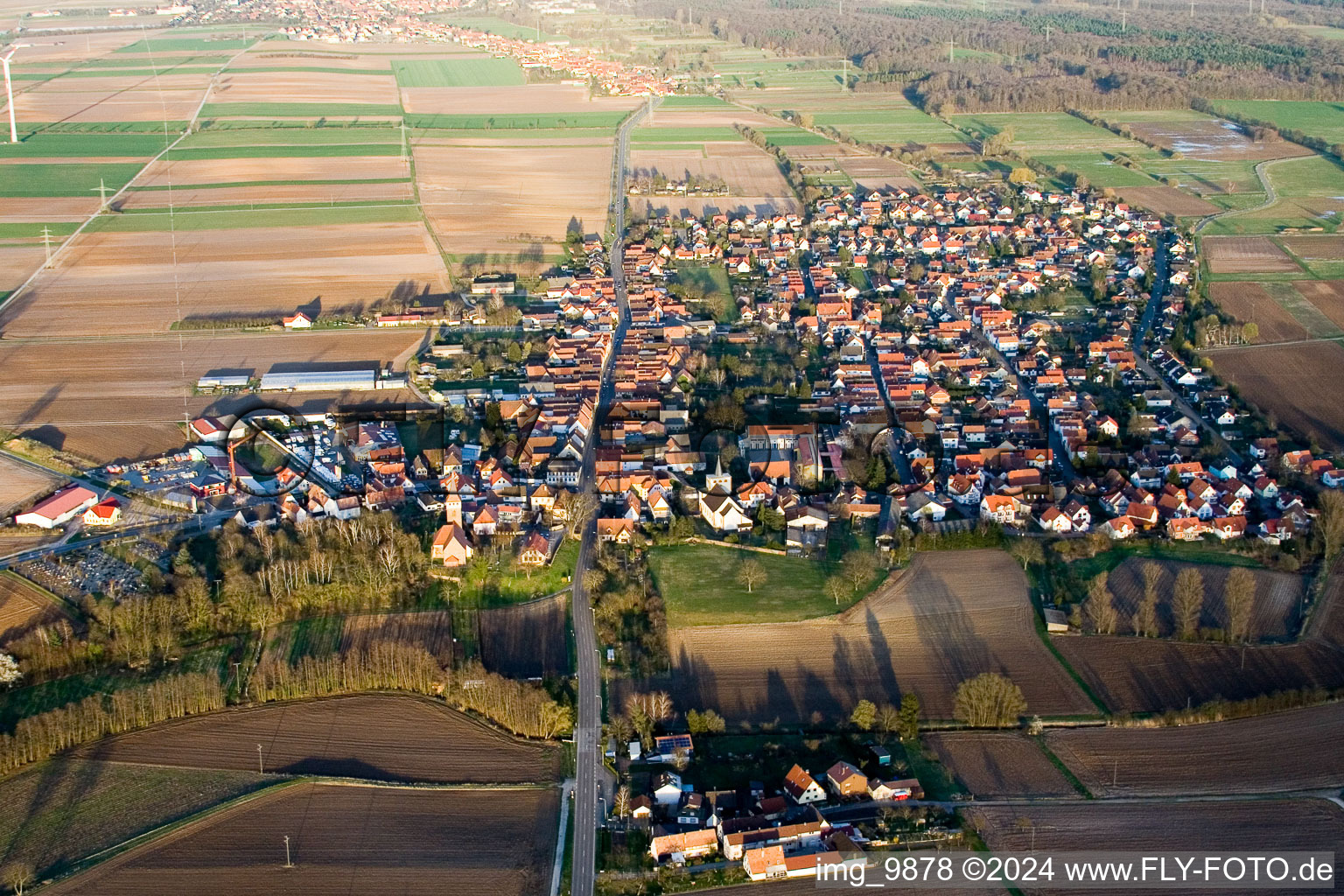 Champs agricoles et surfaces utilisables à Minfeld dans le département Rhénanie-Palatinat, Allemagne vue d'en haut