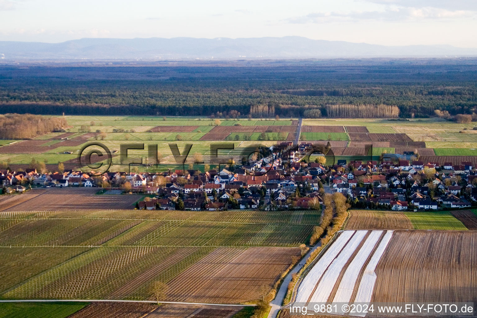 Vue oblique de Freckenfeld dans le département Rhénanie-Palatinat, Allemagne