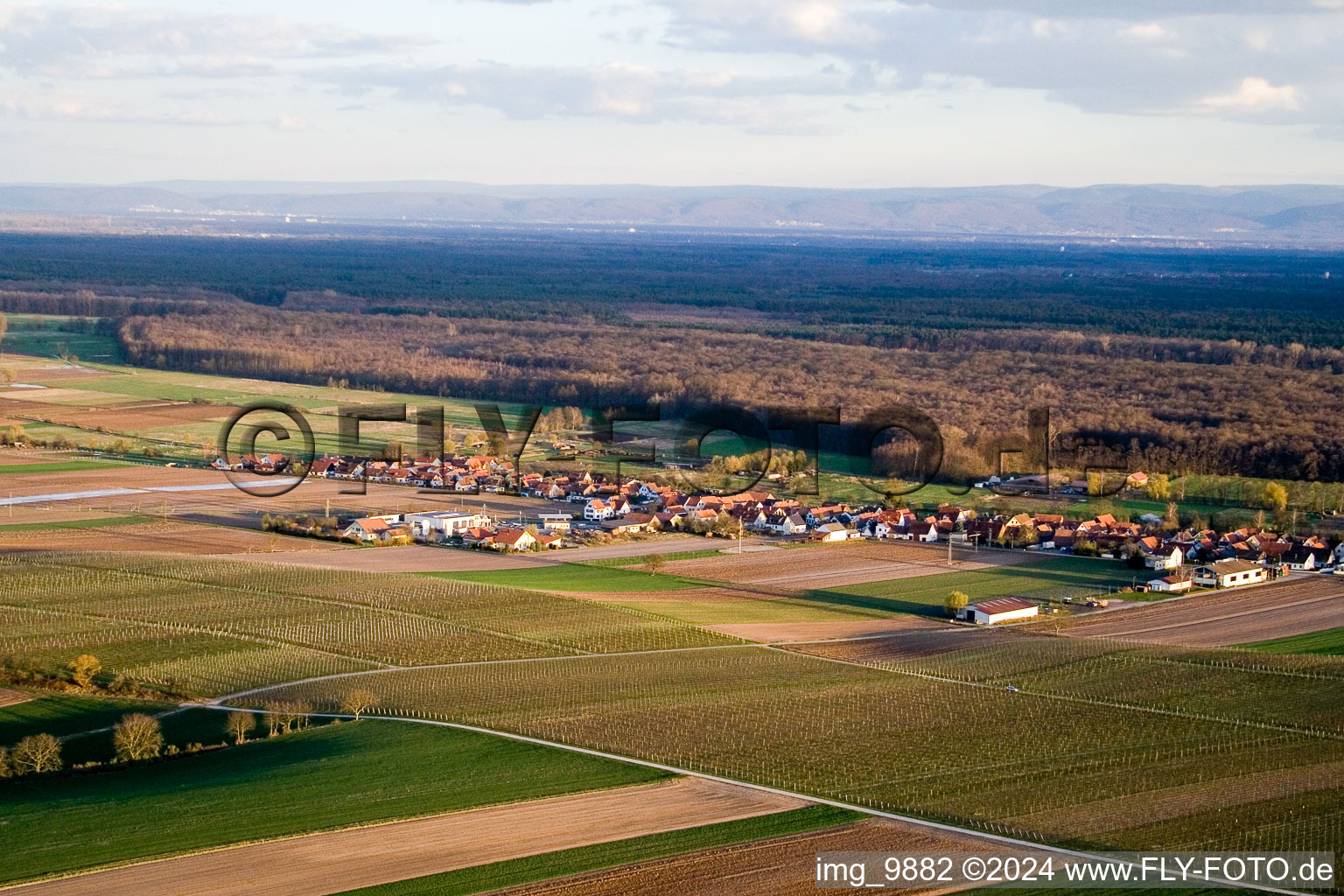 Freckenfeld dans le département Rhénanie-Palatinat, Allemagne d'en haut