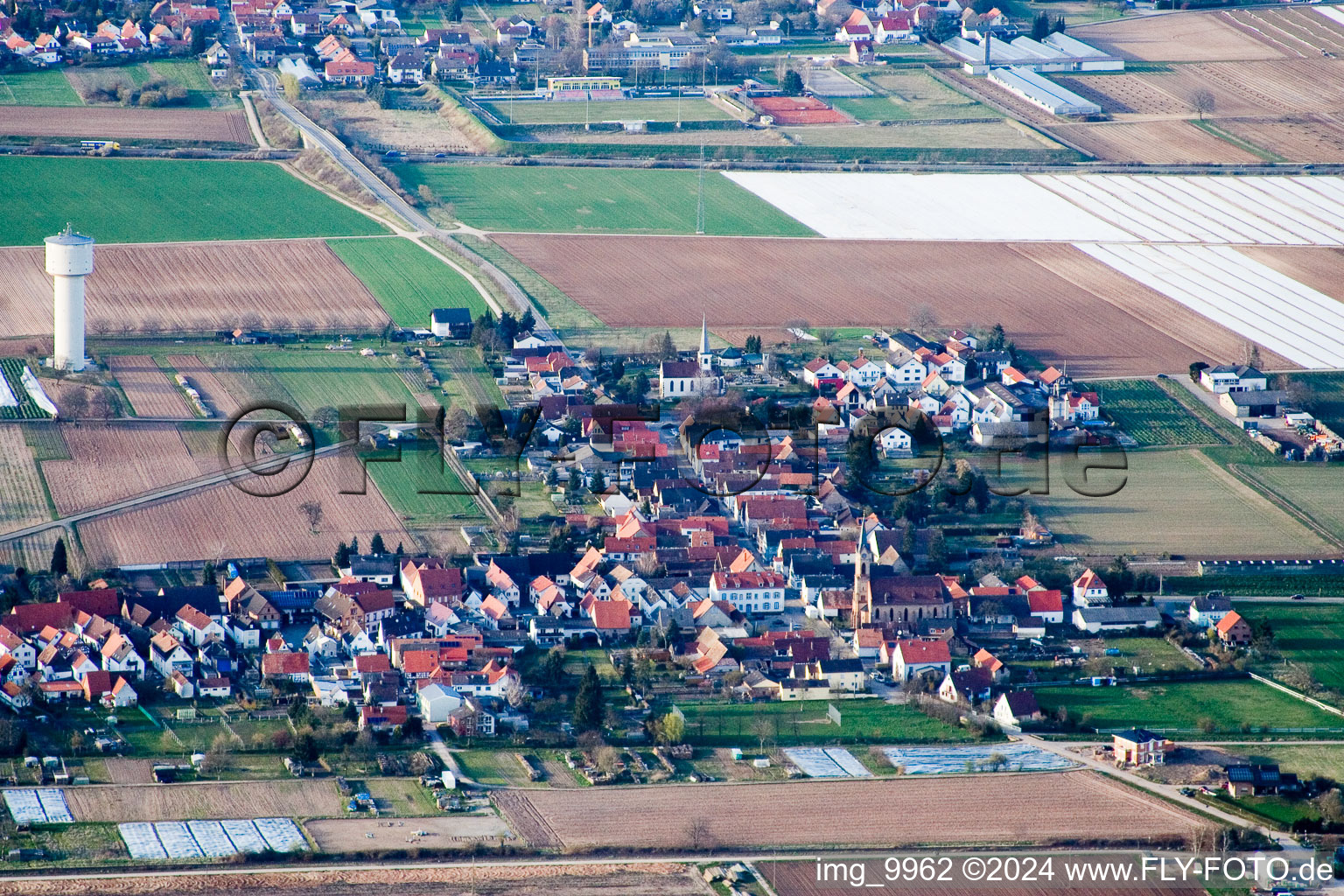 Vue aérienne de Champs agricoles et surfaces utilisables à Lustadt dans le département Rhénanie-Palatinat, Allemagne