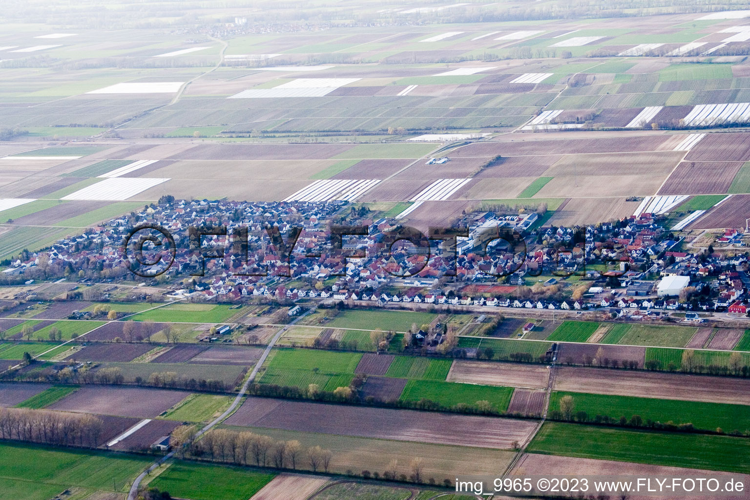 Photographie aérienne de Niederlustadt à Lustadt dans le département Rhénanie-Palatinat, Allemagne