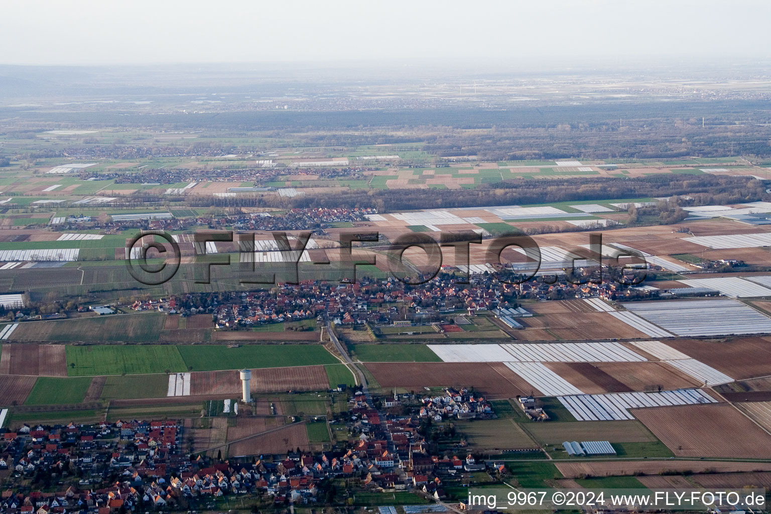 (Palatinat) à Weingarten dans le département Rhénanie-Palatinat, Allemagne d'en haut