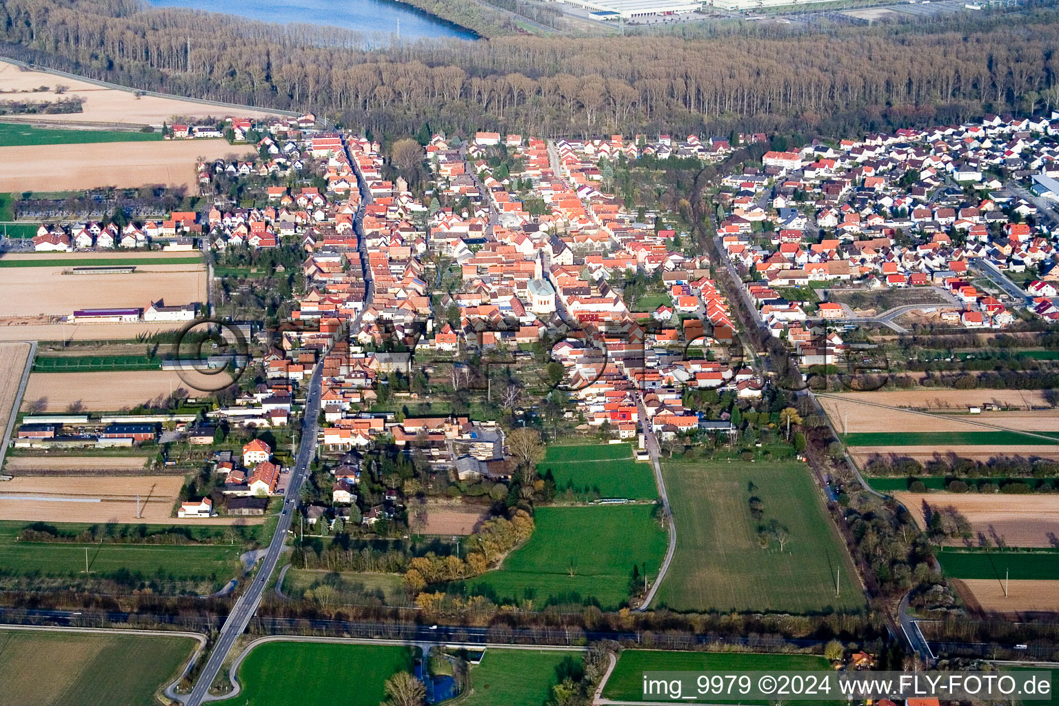 Lingenfeld dans le département Rhénanie-Palatinat, Allemagne vue d'en haut