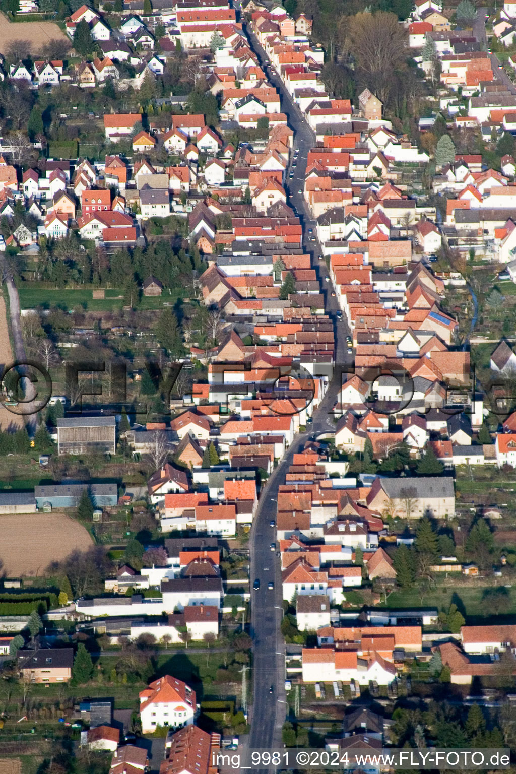 Lingenfeld dans le département Rhénanie-Palatinat, Allemagne depuis l'avion