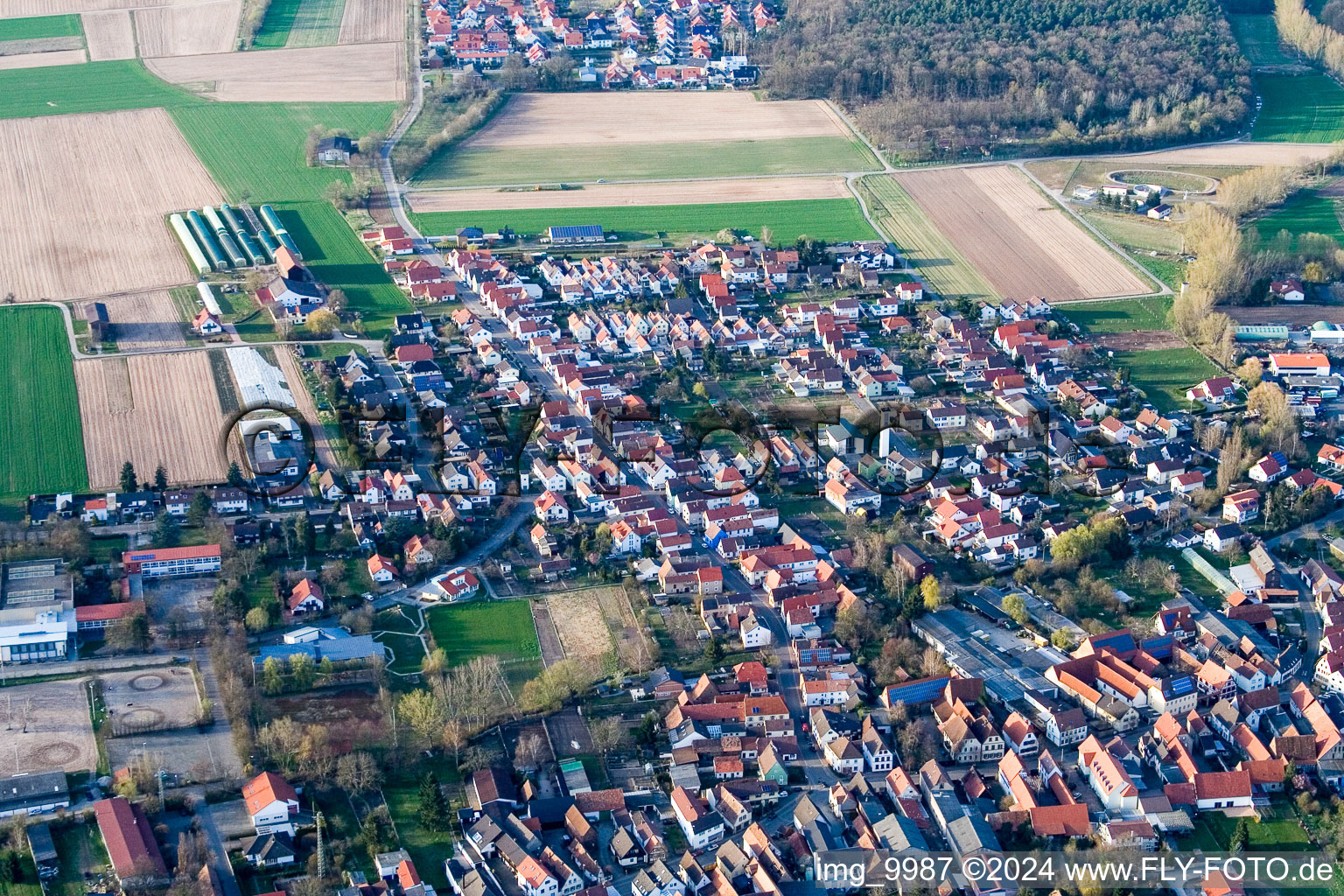 Vue des rues et des maisons des quartiers résidentiels à Schwegenheim dans le département Rhénanie-Palatinat, Allemagne d'en haut
