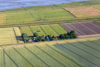 Vue aérienne de Anciennes fermes de gardiens de digues sur la Schülpersieler Straße à Wesselburenerkoog dans le département Schleswig-Holstein, Allemagne
