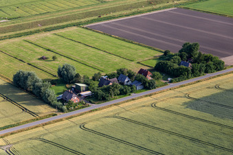 Vue aérienne de Anciennes fermes de gardiens de digues sur la Schülpersieler Straße à Wesselburenerkoog dans le département Schleswig-Holstein, Allemagne