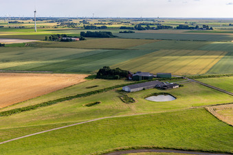 Vue aérienne de Eggert Wilkens à Wesselburenerkoog dans le département Schleswig-Holstein, Allemagne