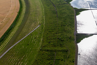 Vue aérienne de Barrage d'Eider avec du bétail à Wesselburenerkoog dans le département Schleswig-Holstein, Allemagne