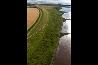 Vue aérienne de Barrage d'Eider avec du bétail à Wesselburenerkoog dans le département Schleswig-Holstein, Allemagne