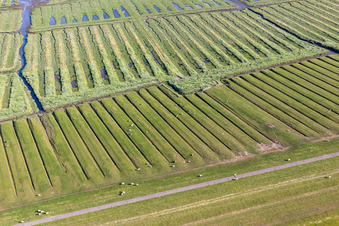 Vue aérienne de Ehstensiel à Tating dans le département Schleswig-Holstein, Allemagne