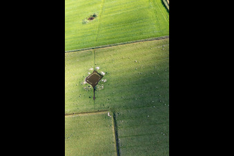 Sankt Peter-Ording/Böhl-Süderhöft