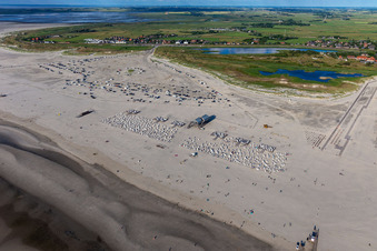 Vue aérienne de Rangées de chaises longues sur la plage de sable dans la zone côtière de la mer du Nord dans le district Sankt Peter-Ording à le quartier Ording in Sankt Peter-Ording dans le département Schleswig-Holstein, Allemagne