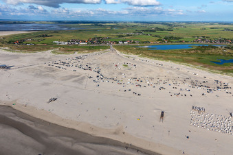 Vue aérienne de Rangées de chaises longues sur la plage de sable dans la zone côtière de la mer du Nord dans le district Sankt Peter-Ording à le quartier Ording in Sankt Peter-Ording dans le département Schleswig-Holstein, Allemagne