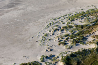 Vue aérienne de Dunes à la plage pour chiens à le quartier Ording in Sankt Peter-Ording dans le département Schleswig-Holstein, Allemagne