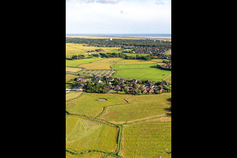 Vue aérienne de Maisons de vacances à Ording à le quartier Ording in Sankt Peter-Ording dans le département Schleswig-Holstein, Allemagne